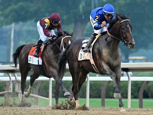 Horse Racing